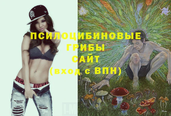прущая мука Наволоки