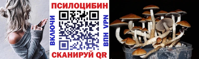 Псилоцибиновые грибы Cubensis  Купить закладки  Духовщина 